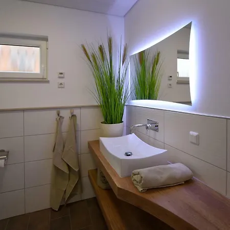Petit-chalet Am Hainer Ferienhaus