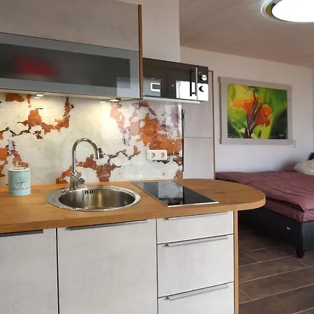 Petit-chalet Am Hainer Ferienhaus